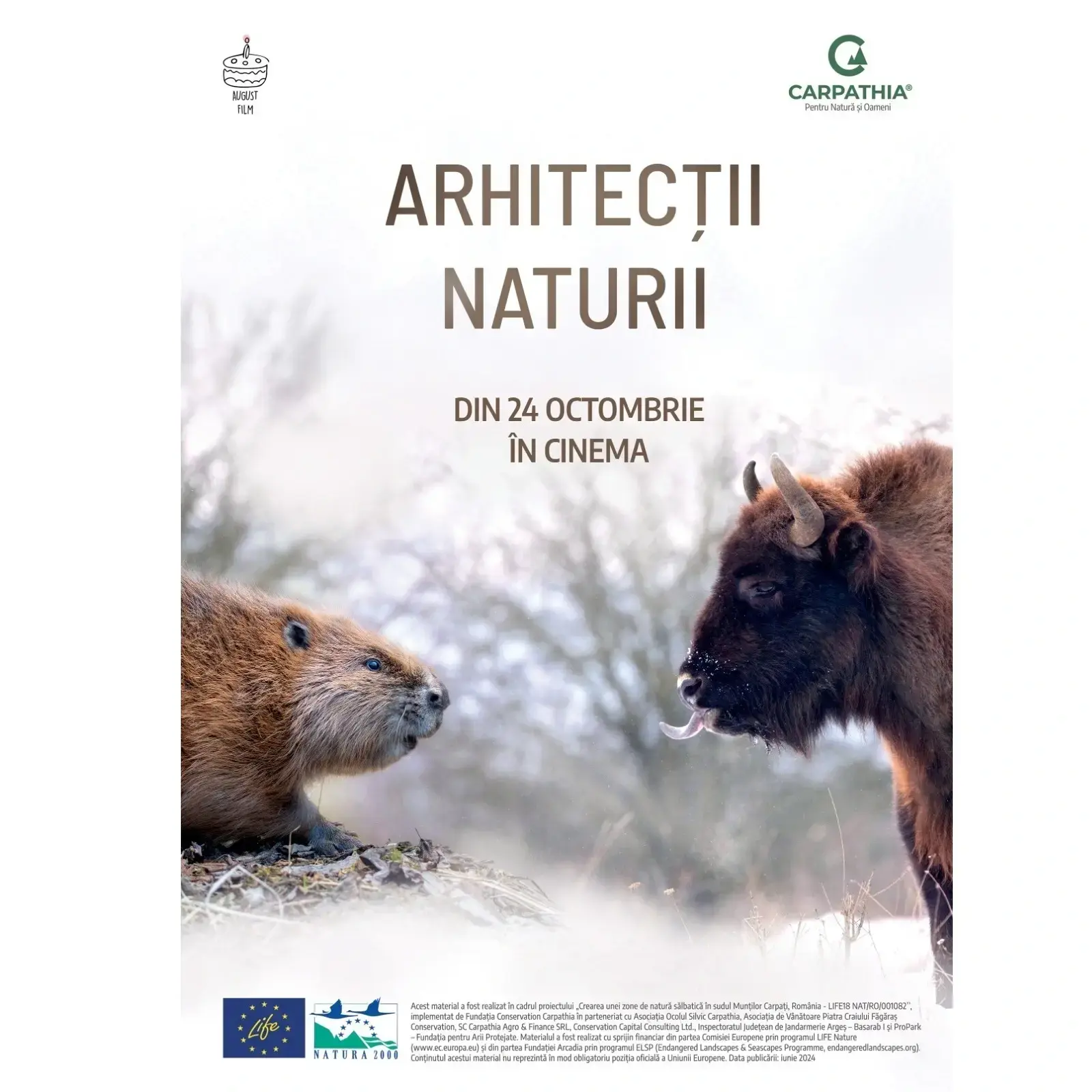 Arhitecții naturii